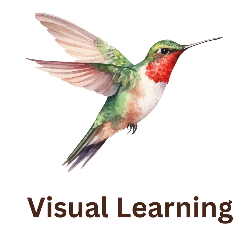 Visual Learning - Learn With Fun